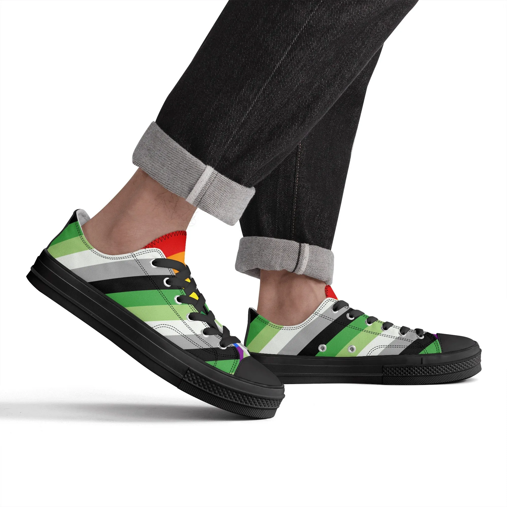 Aromantic Pride Collection - Mens Classic Low Top Canvas Shoes for the LGBTQIA  community
